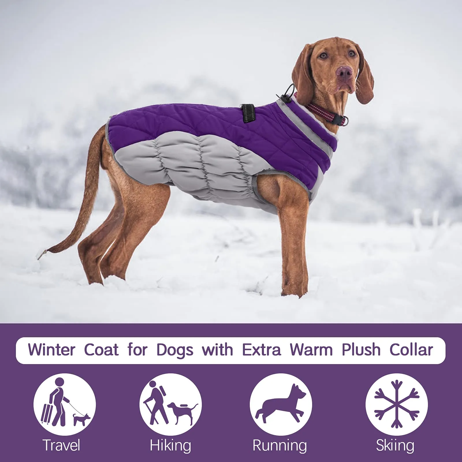 Winter Coat
