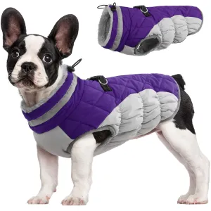 Winter Coat