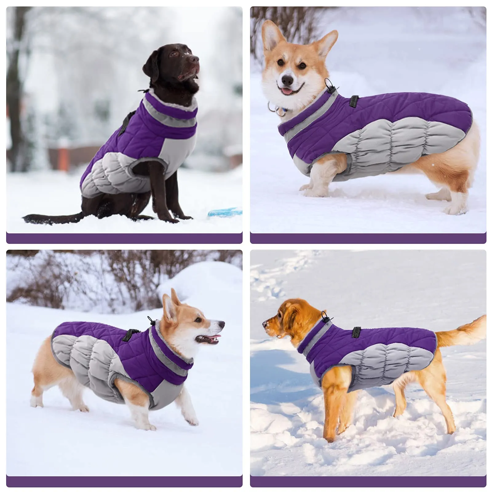 Winter Coat